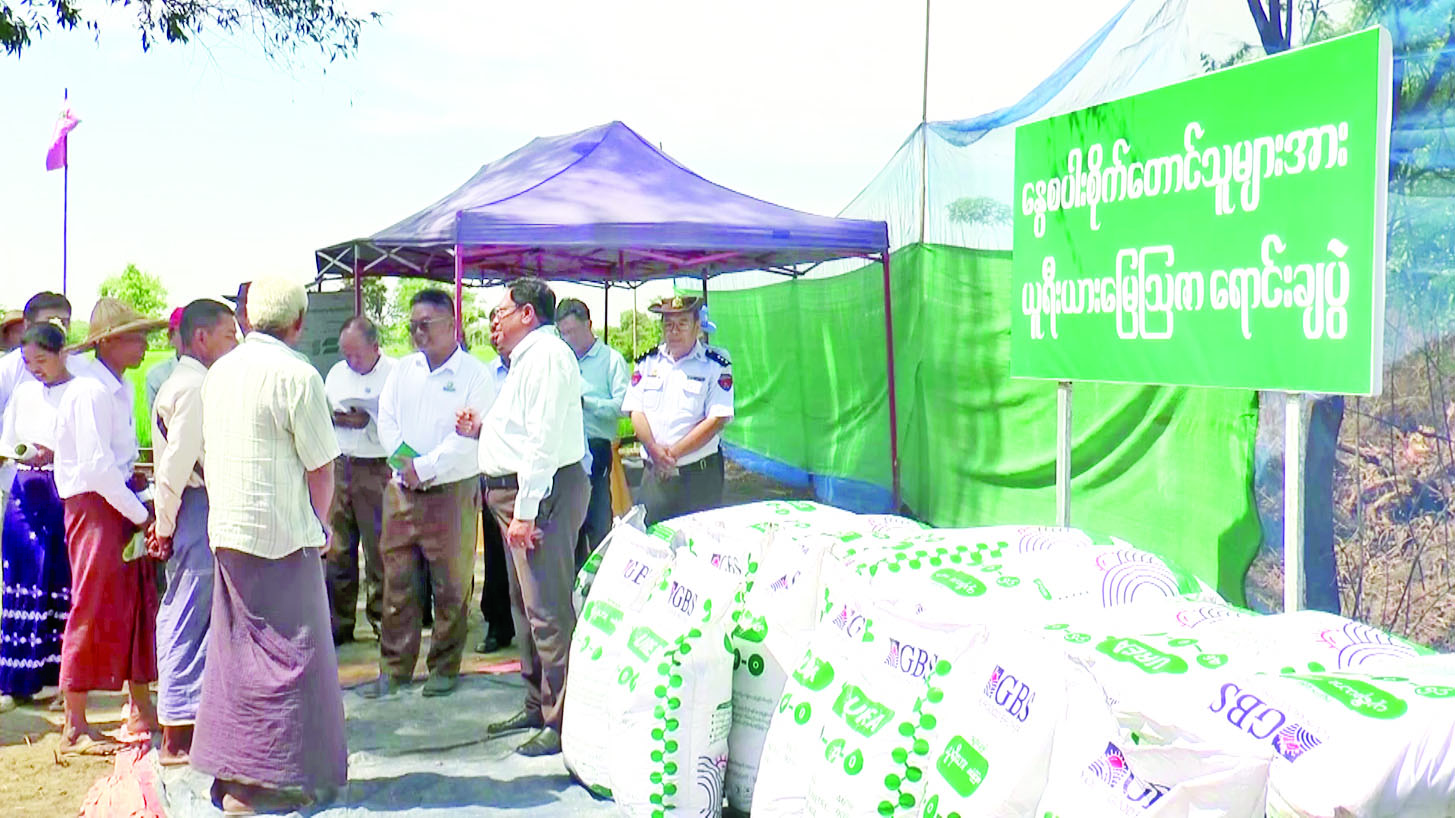 Cultivation of Magway Region Field work to increase the ability to work in the livestock sector