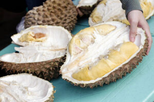 Philippines Ships Durian, Mangosteen to Vancouver, Opening New Market
