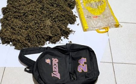 Papua Police Apprehend Courier with 4 Kg of Marijuana Smuggled from PNG
