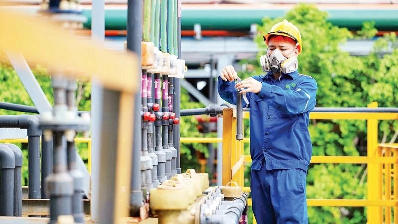 ベトナム・フーコック省、技術革新を支援するエコシステム構築へ