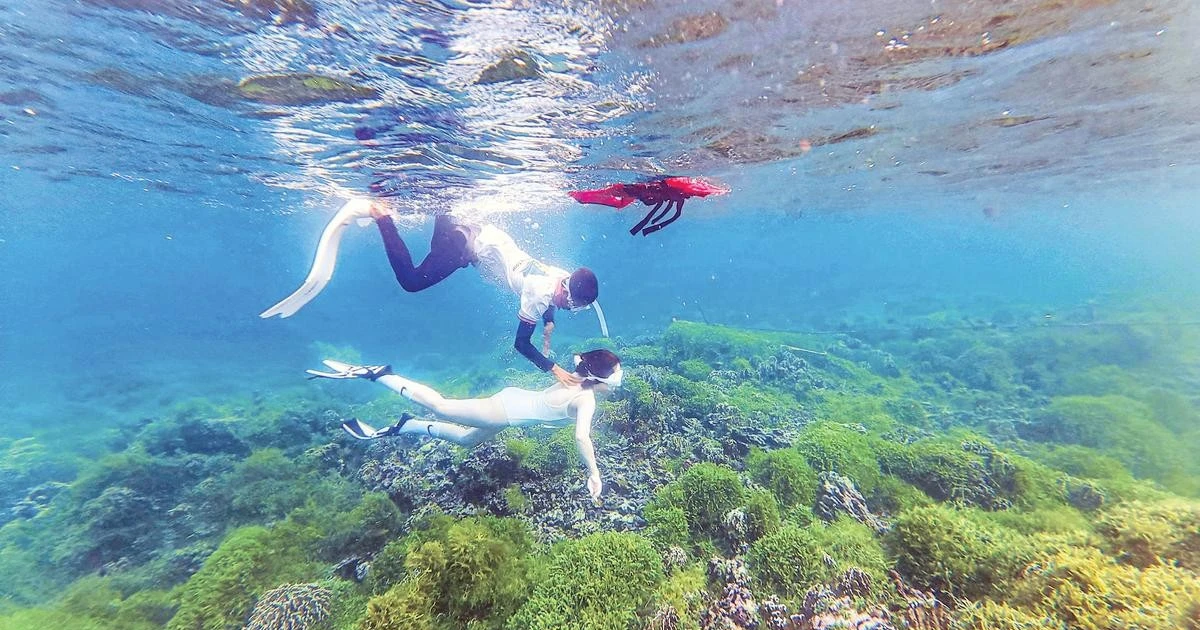 若者たちの力で蘇るフーコック島、持続可能な観光の担い手に