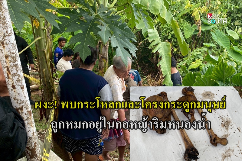 Human Remains Discovered in Southern Thailand, Investigation Launched
