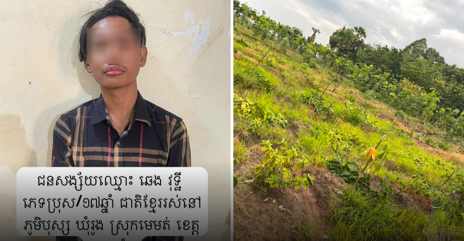 Teenager Arrested for Felling Nearly 100 Rubber Trees