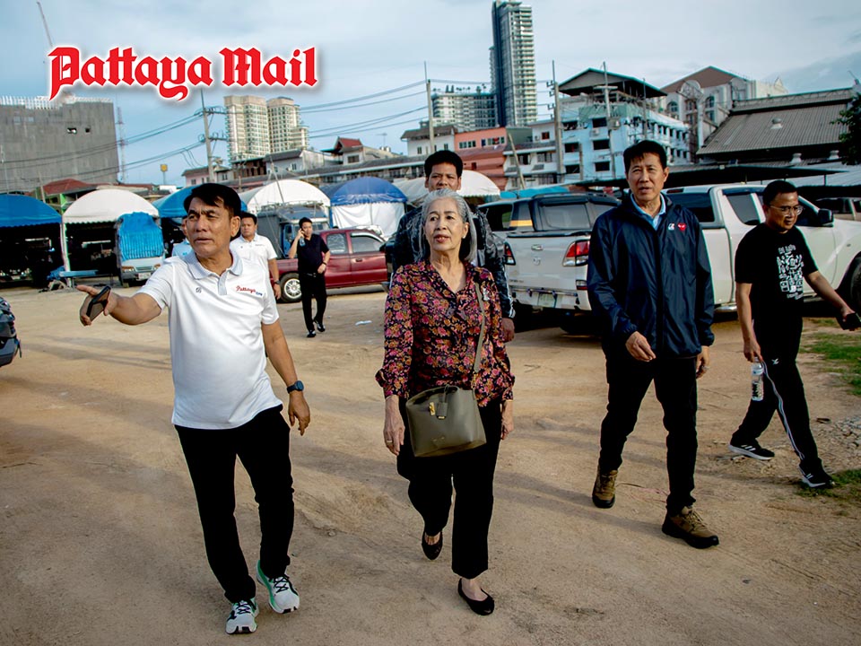 Pattaya Residents Warn Homeless and Stray Animal Problems Hurting Tourism Image
