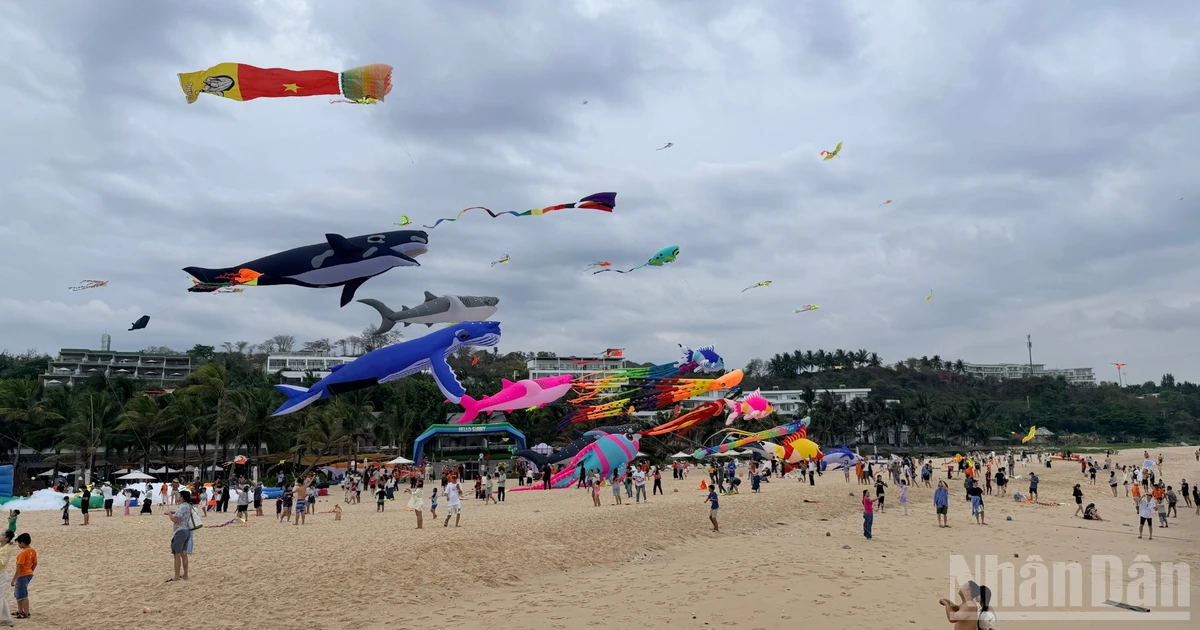Kite Festival in Lam Dong Draws Crowds During Vietnam's National Holiday