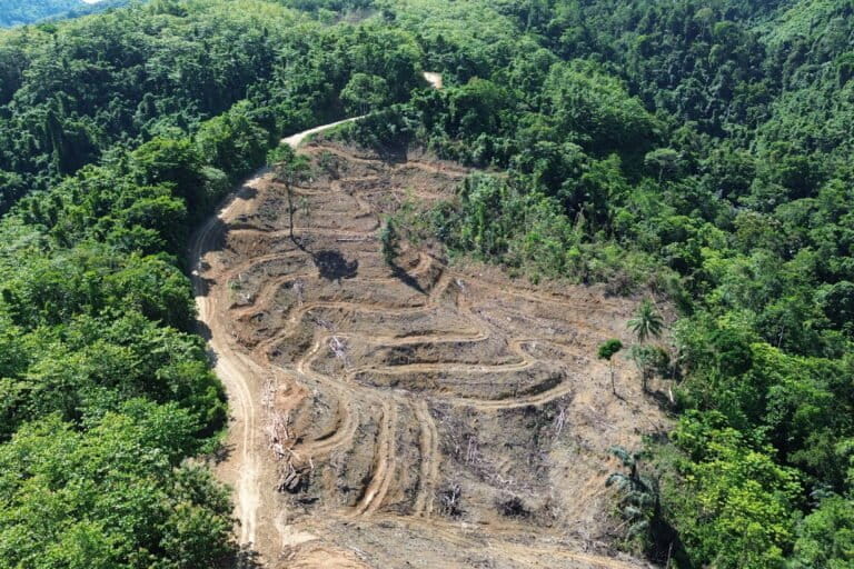 ゴロンタロ北部、森林伐採で農民に広がる不安