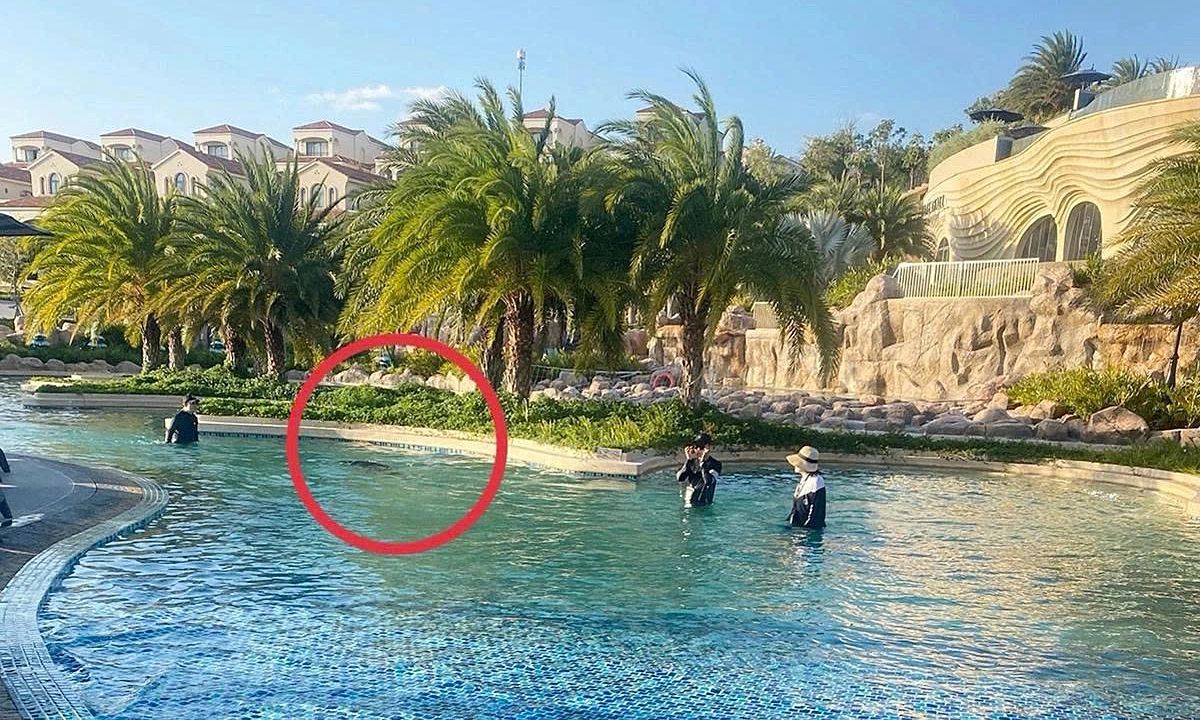 Man Faces Charges Over Japanese Boy's Drowning at Vietnamese Resort