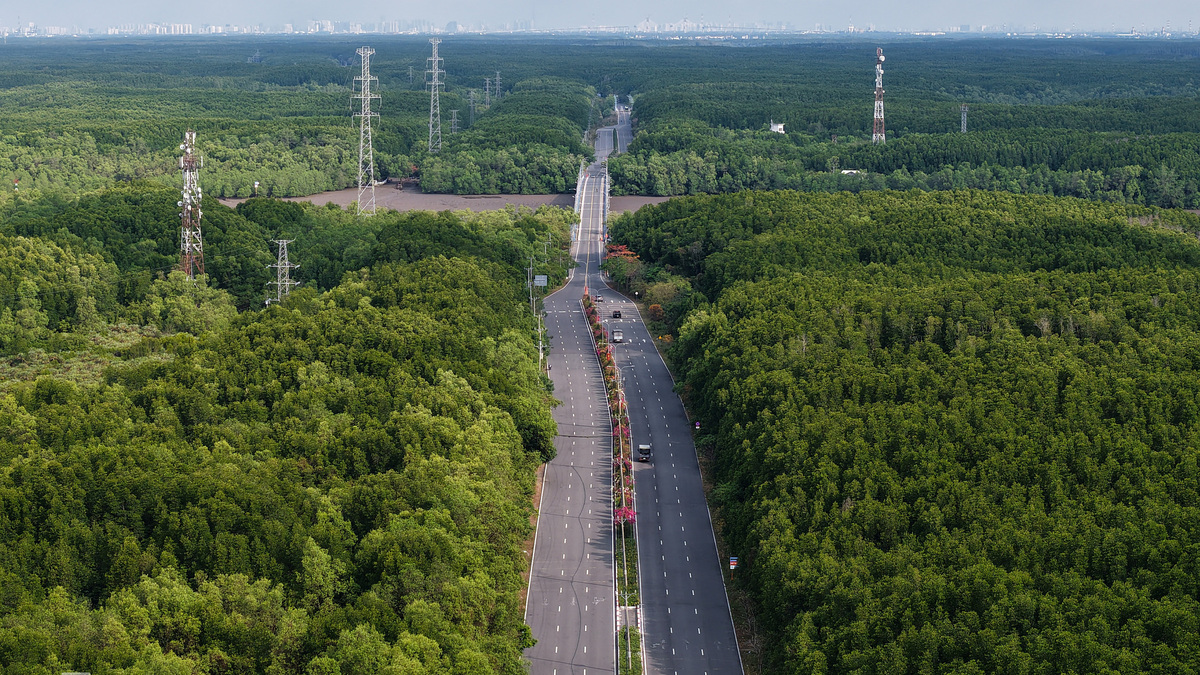 Ho Chi Minh City Proposes Rezoning 4.6 Hectares of Protected Forest for Metro Construction