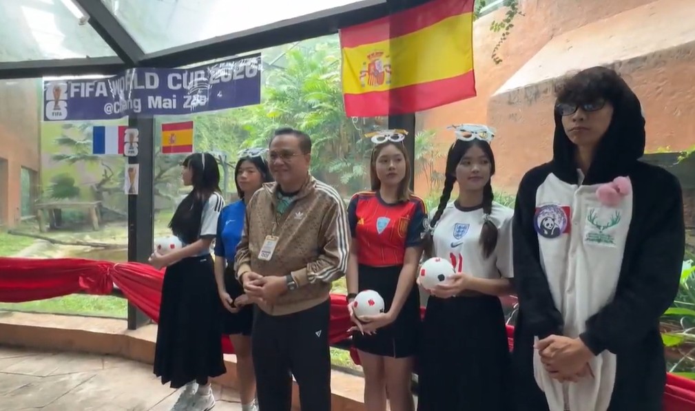 Chiang Mai Zoo Adds World Cup Flair with Black Panther and Red Panda Match Predictions
