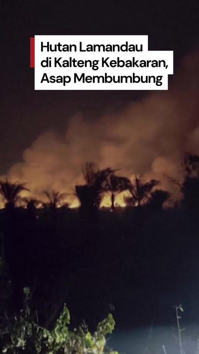 Massive Forest Fire Hits Lamandau, Central Kalimantan; Dry Peatland Fuels Spread