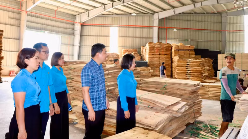 Thai Nguyen Province Exceeds Targets for Union Membership and Grassroots Organizations