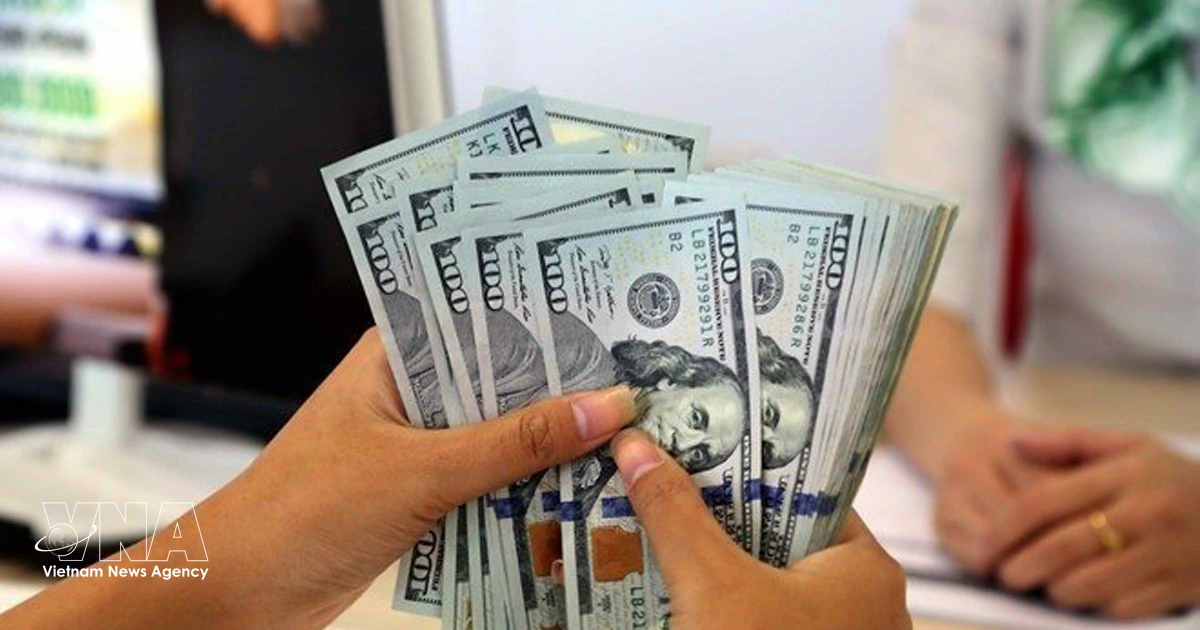 Vietnam Adjusts Exchange Rate Band to Stabilize Market