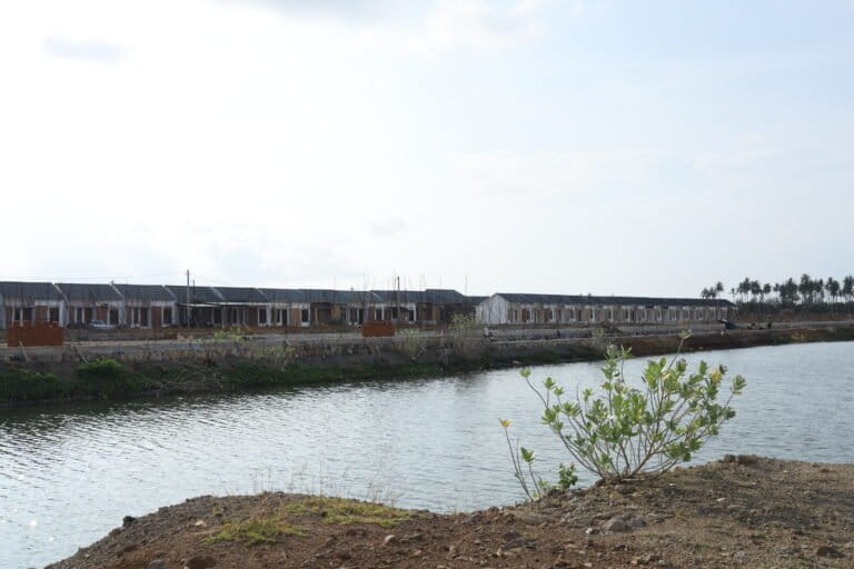 Mangrove Loss in Banda Aceh Coast Deprives Migratory Birds of Resting Places