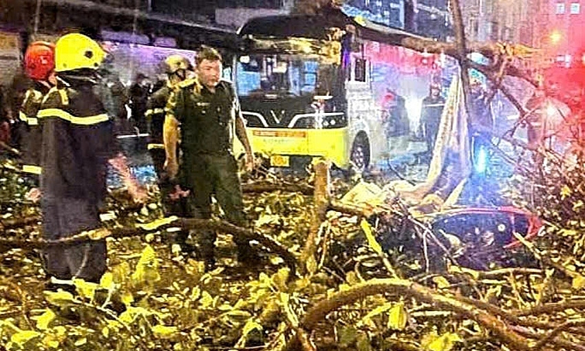 Man Dies After Falling Tree Branch Crushes Motorbike in Southern Vietnam Storm