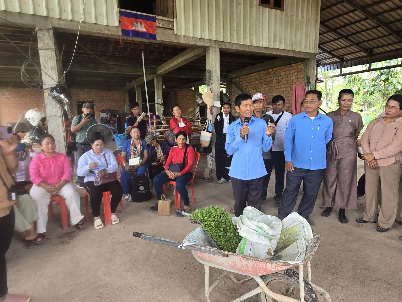 Cambodia Encourages Expansion of Safe Vegetable Production: Farmer Highlights Profitability and Health Benefits