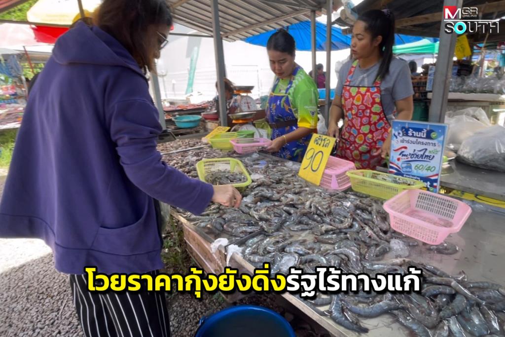 タイ南部トラン県、エビ価格急落で養殖業者悲鳴 政府の対応遅れに不満