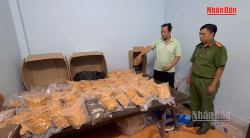 Ho Chi Minh City Police Dismantle Major Interstate Drug Ring, Arrest 151, Seize Over 176kg of Cannabis