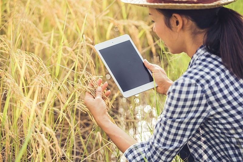 Philippines stresses 'trust' and 'community support' for digital agriculture adoption