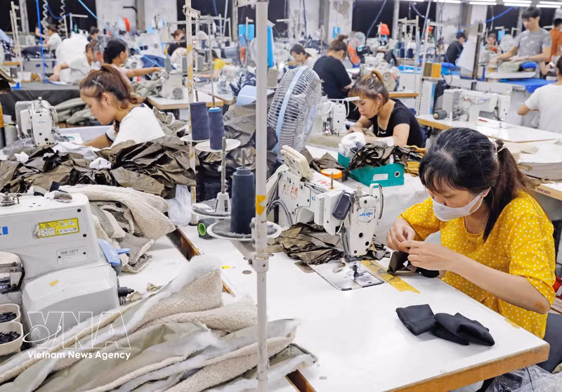 Vietnam's H1 GDP Grows 8.18% as New Growth Drivers Emerge