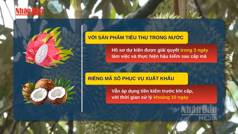 Vietnam Simplifies Export Codes for Agricultural Products to Boost Trade