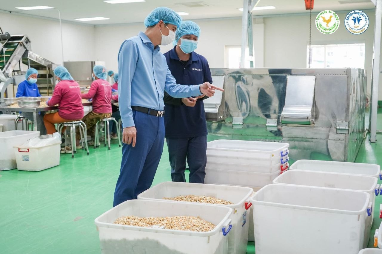 Cambodia's SDF Inspects Cashew Processing Factories for Skilled Workforce Development