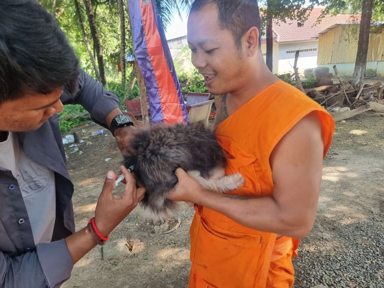 カンボジア、バッタンバン州で狂犬病ワクチン接種キャンペーン、5日間で2万7千頭超に