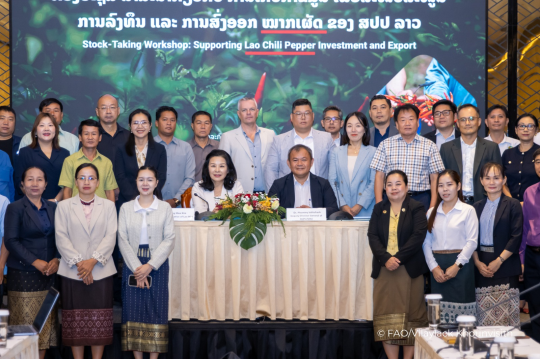 Lao Chili Pepper Sector Eyes International Markets with FAO Support