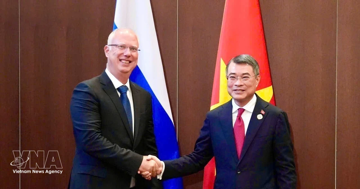 Vietnam PM Meets Head of Russian Direct Investment Fund, Discusses ASEAN-Russia Cooperation