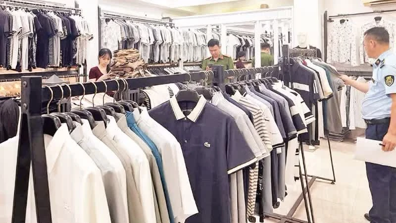 Vietnam Strengthens Intellectual Property Enforcement: Prime Minister Issues Urgent Dispatch