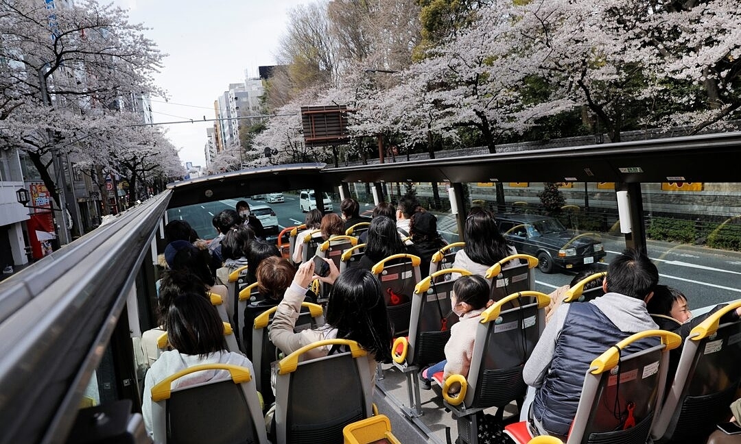 Japan selects Vietnamese workers for first foreign bus driver training programme