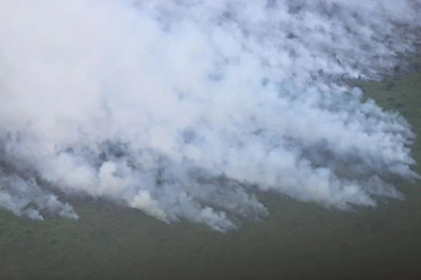 Indonesia Urged to Prioritize Forest Fire Prevention and Legal Certainty