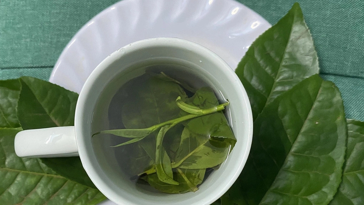 Vietnamese Experts Recommend Morning Drinks Beneficial for Kidneys