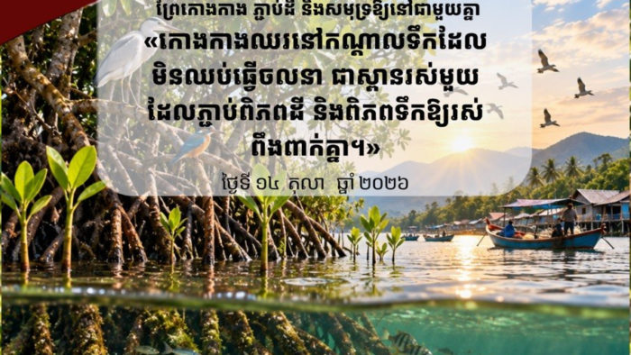 Cambodia's Coastal Treasure: The Vital Role and Conservation Challenges of Mangrove Forests