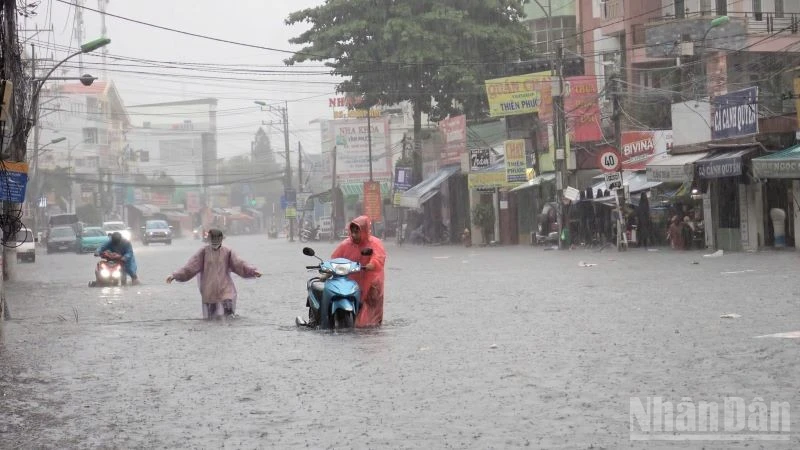 Khanh Hoa Province on Alert for Heavy Rains, Flash Floods, and Landslides