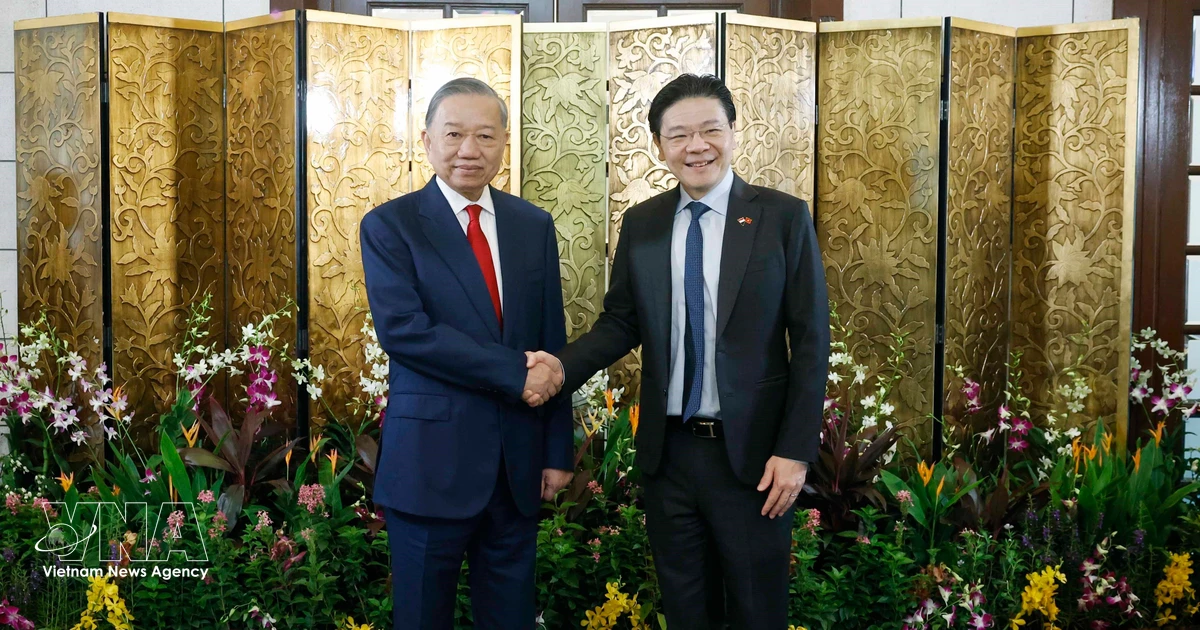 ベトナム国家主席、シンガポール首相と会談 両国関係強化を確認