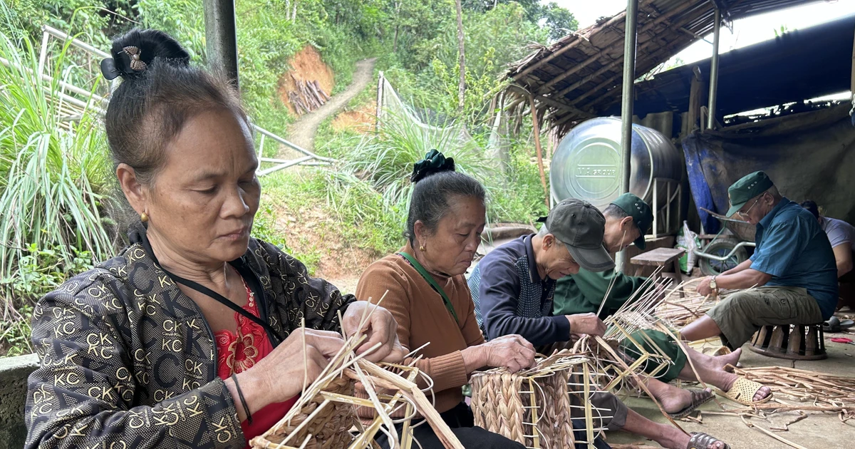 Vietnam Red Cross Society at 80: From relief boxes to lasting incomes