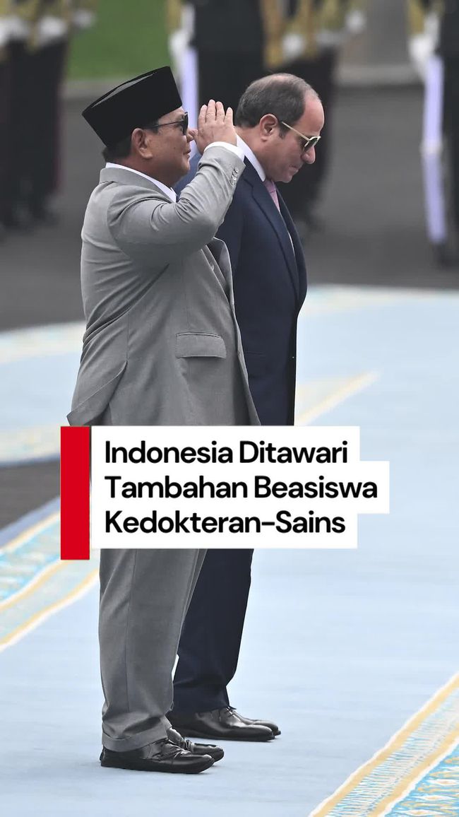 Egypt Offers Additional Scholarships in Medicine and Science to Indonesia
