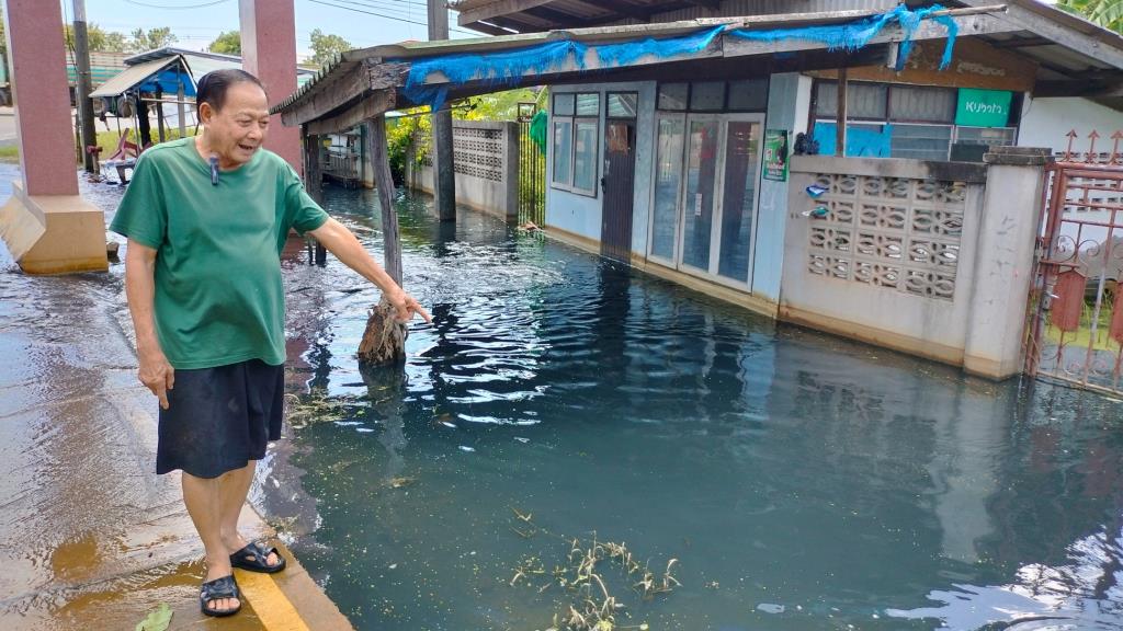 Chonburi Flooding: 10 Days of Stench, Leeches Plague Residents, Urgent Drainage Plea