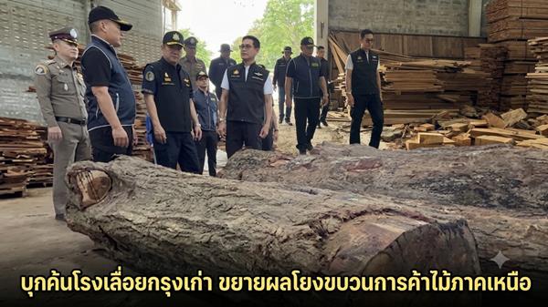 アユタヤの製材所を家宅捜索、違法木材とチェーンソー押収