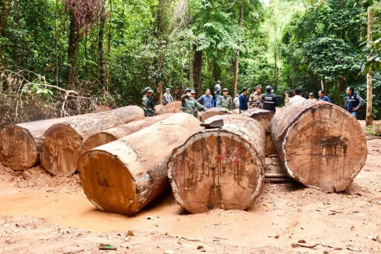 Savannakhet Cracks Down on Illegal Mining and Logging, Detains 21 Suspects
