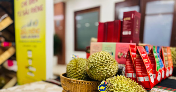 Vietnam's Durian Industry Shifts Focus from Volume to Value for Global Market