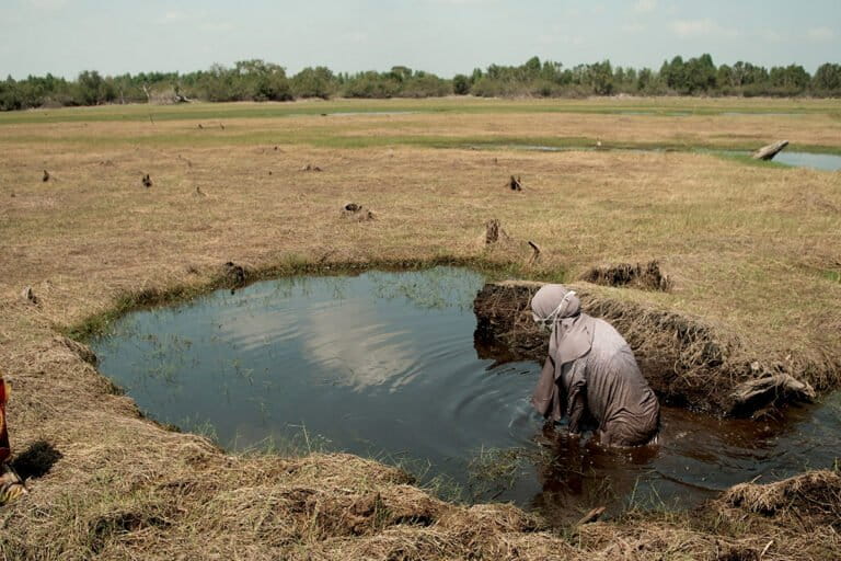 失われゆく「鳥の湖」:インドネシアの漁村に蘇る記憶と存続への願い