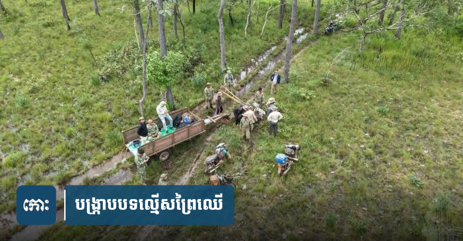 Preah Vihear Environmental Department Cracks Down on Forest Crimes and Illegal Land Grabs During 3-Day Patrol