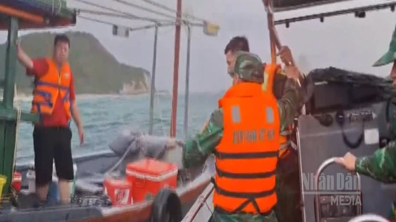 Quang Ninh Border Guard Rescues Four Fishermen Stranded Off Co To Island