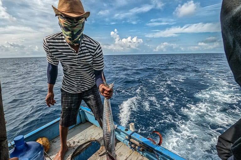 エルニーニョと湧昇現象の同時発生、インドネシア漁業に恩恵か