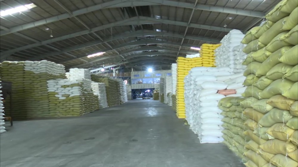 Rice Export: GW-11 rice gets highest price in Philippine Market