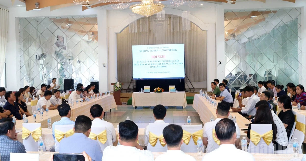 Lam Dong Province Strengthens Management of Durian Growing Areas and Packaging Facilities for Export