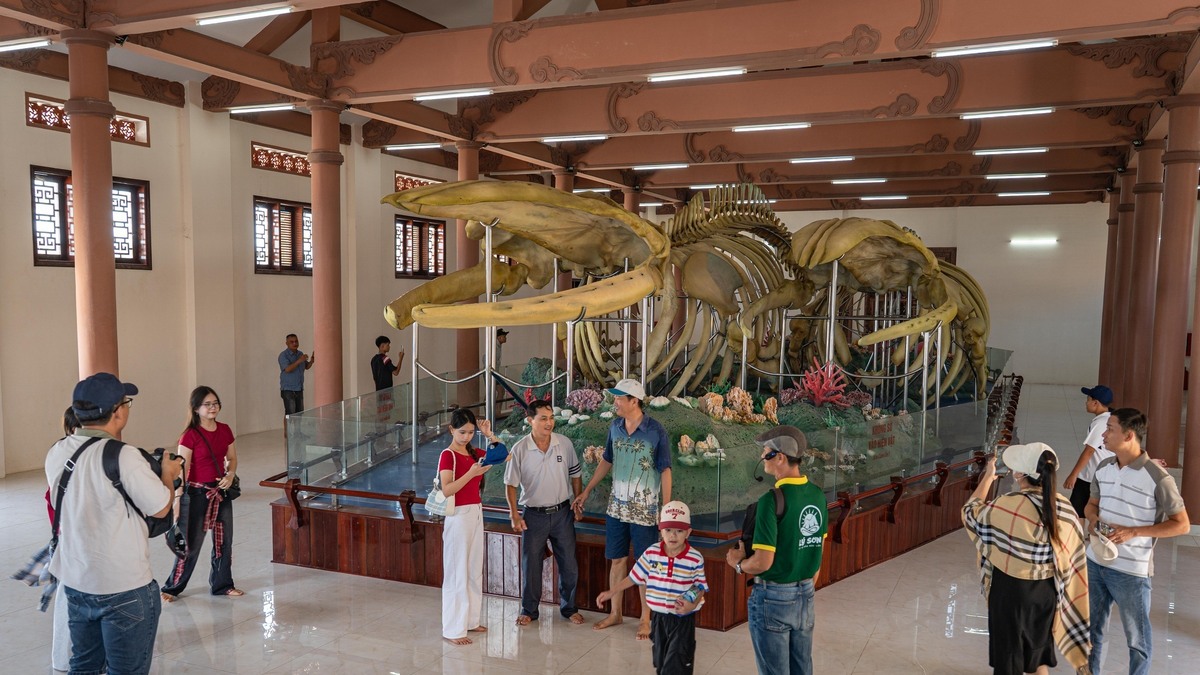 ベトナム最大級のクジラ骨格、リソン島の古刹に眠る文化遺産
