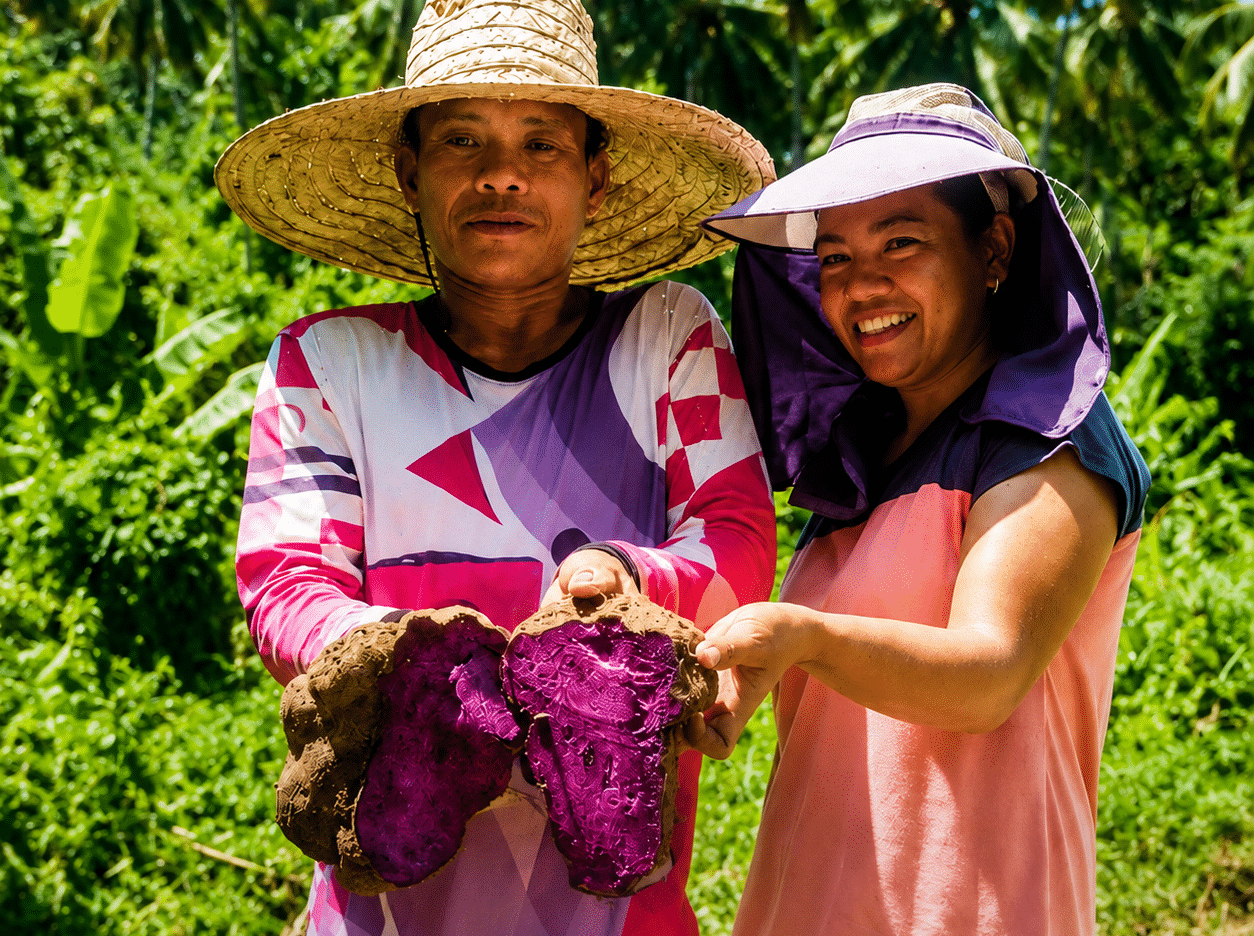 Leyte Congressman Pushes Bill to Declare Ube a National Agricultural Priority Crop