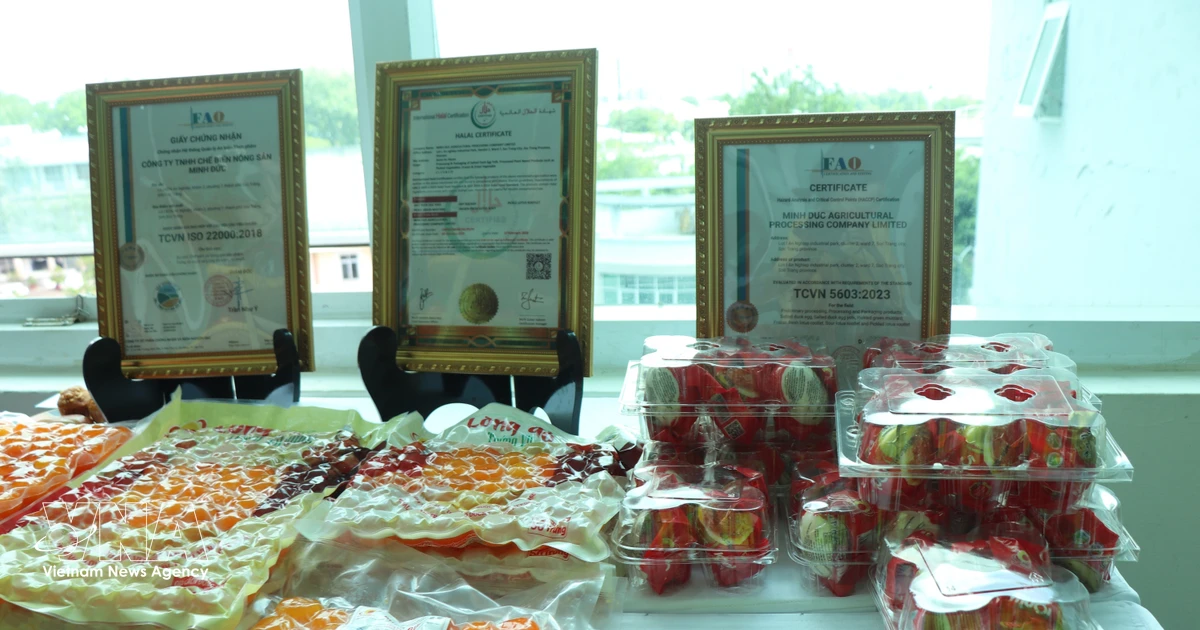 Halal Standards Crucial for Enhancing Global Competitiveness of Vietnamese Products